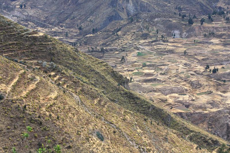 937-Canyon del Colca,15 luglio 2013.JPG